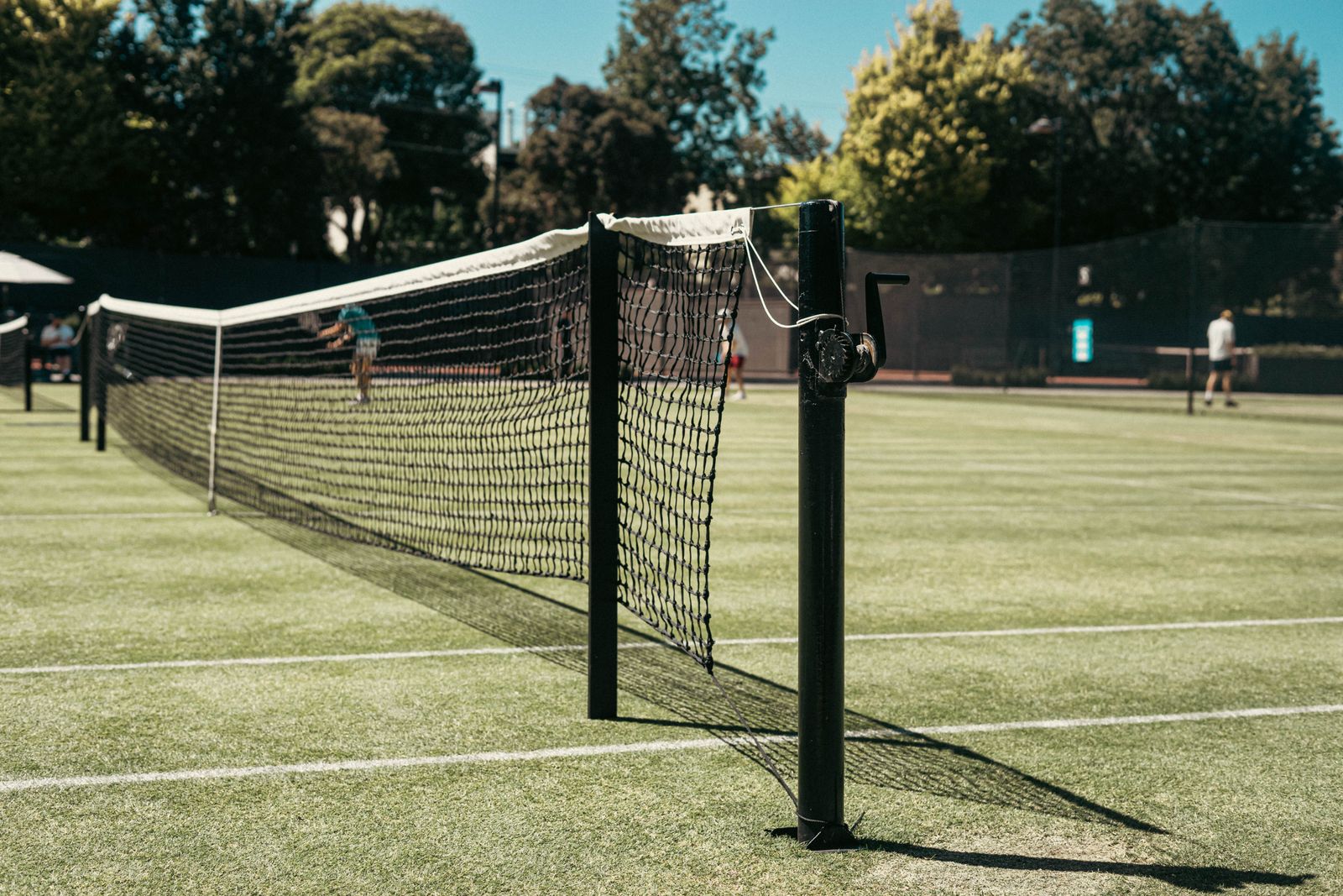 Empty grass tennis court with the net and white court lines in view.